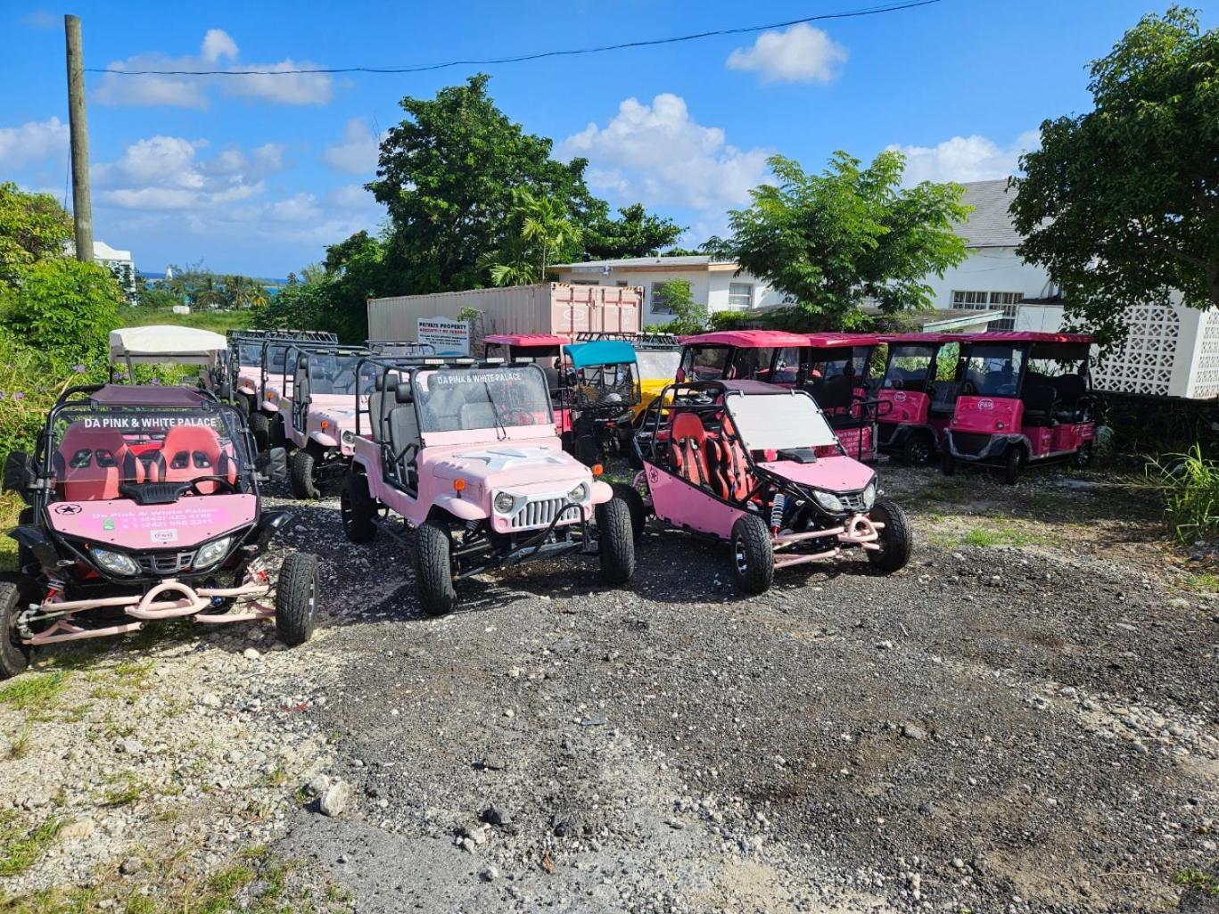 Da Pink And White Palace Hostel Nassau Exterior photo