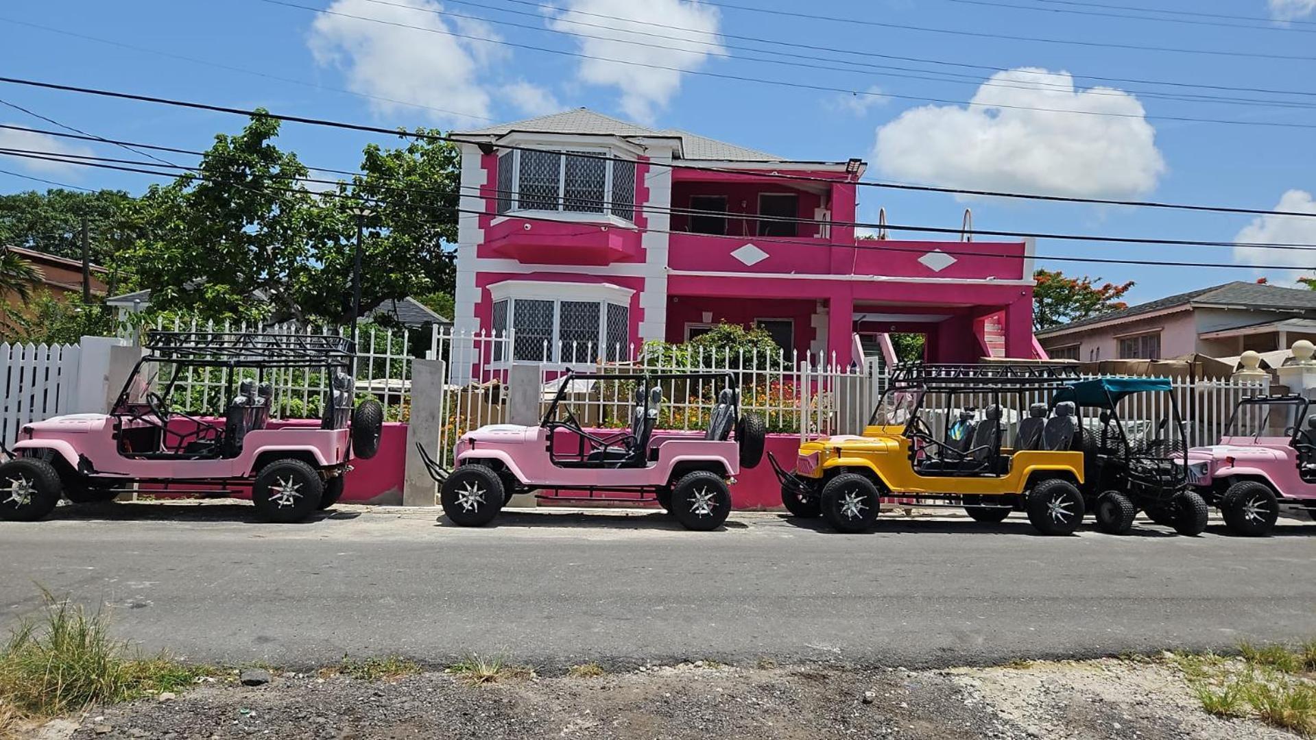 Da Pink And White Palace Hostel Nassau Exterior photo