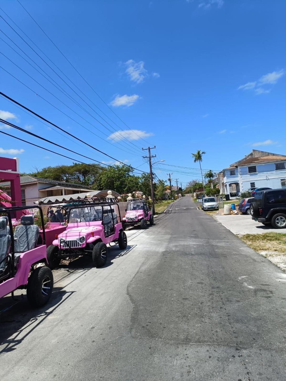 Da Pink And White Palace Hostel Nassau Exterior photo