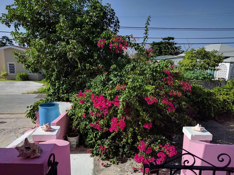 Da Pink And White Palace Hostel Nassau Exterior photo